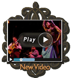 new bellydance video