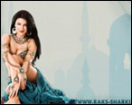 belly dancer bellydance wallpaper