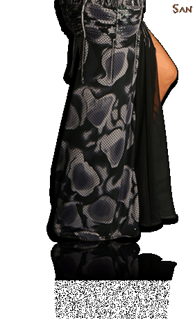 sandra professional bellydance